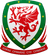 Cúp Liên Đoàn Wales