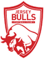 Jersey Bulls