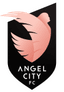 Angel City