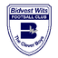 Bidvest Wits