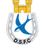 Dungannon Swifts