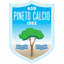 Pineto